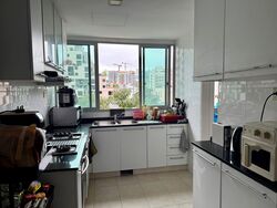 Scenic Heights (D12), Apartment #596445491